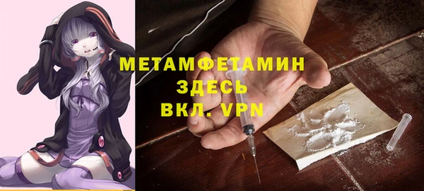 сатива Балахна