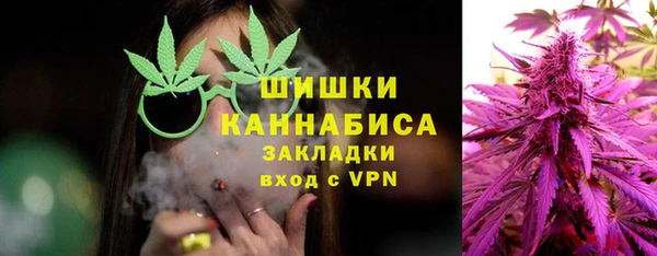 сатива Балахна