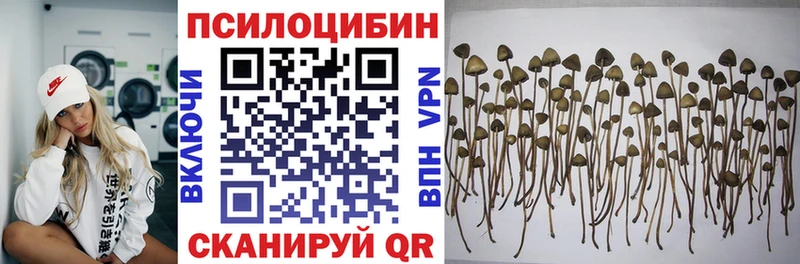 Псилоцибиновые грибы ЛСД  Купить  Плавск 