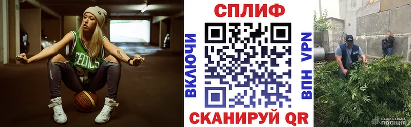 Каннабис OG Kush  Купить  Плавск 